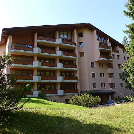 Belmont Flims