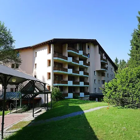 Belmont *